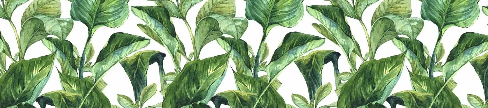 carta parati per cucina carta da parati per cucina moderna carta da parati da cucina