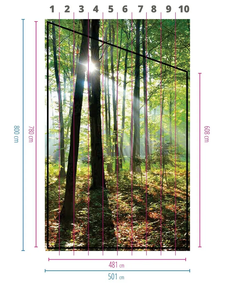 Albeggia nella foresta carta da parati per scale pareti e pareti decori soffitti alti