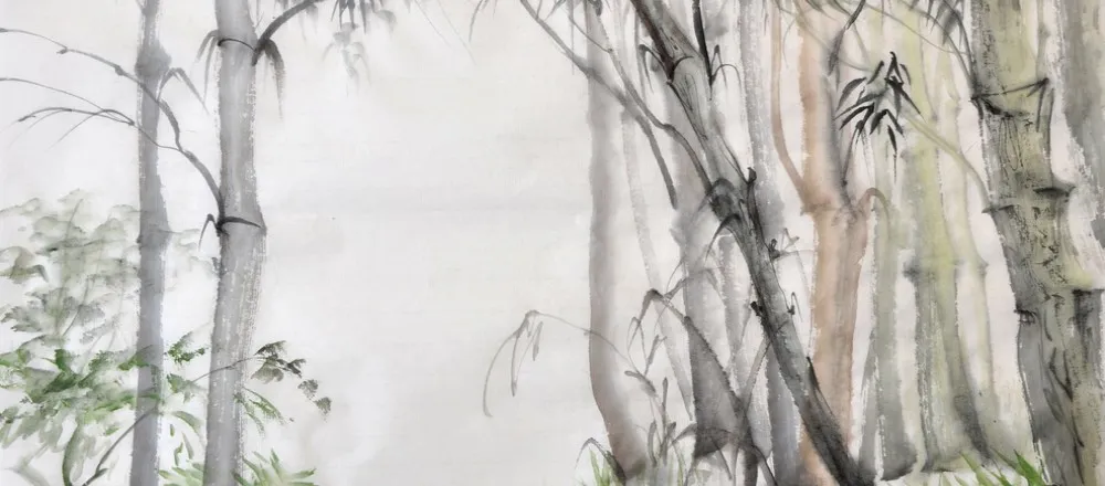 Carta da parati bamboo parati con immagini paesaggi naturali