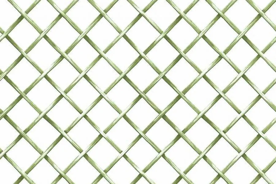 BLO52403 | Carta da parati griglia verde da giardino - coordinato edera - Nanni Giancarlo