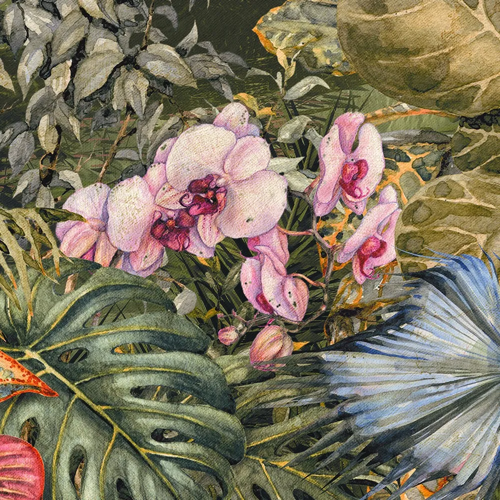 carta da parati tropicale con orchidee  carte da parati tropicali online - Nanni Giancarlo