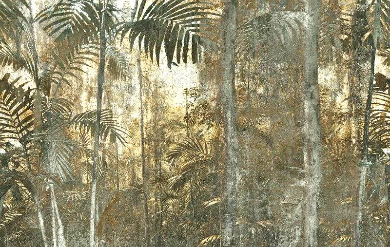 carta da parati botanica alberi foresta - Nanni Giacnarlo carta da parati botanica alberi foresta - Nanni Giacnarlo