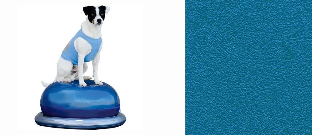 pavimenti per agility dog ambienti interni - Nanni Giancarlo