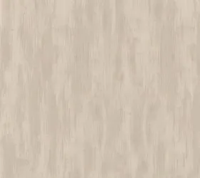 CLO92419 |  Carta da parati effetto muro graffiato