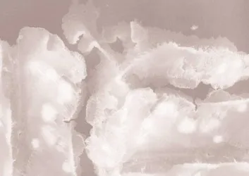 DEEP | Carta da parati acquerello - Col. 582 Pink