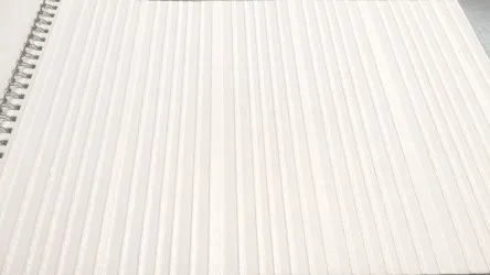 CARTA DA PARATI VERNICIABILE | ER-163003 rotoli da 53 cm. x 10 mt.