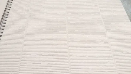CARTA DA PARATI VERNICIABILE | ER-163005 rotoli da 53 cm. x 10 mt.