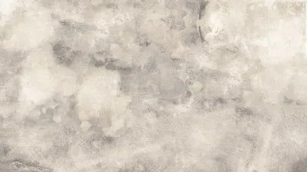MURO GRUNGE | Carta da parati astratta mopderna - Colore 34-1