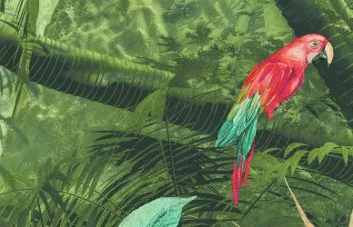 ESOTICA TROPICALE | Carta da parati - Nuovo colore 41 Verde intenso