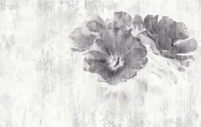 FLOWER - MILADY  | Carta da parati con grandi fiori - Colore 25
