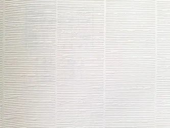 CARTA DA PARATI VERNICIABILE | ER-163005 rotoli da 53 cm. x 10 mt.