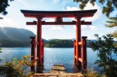 TORII | Carta da parati suggestiva