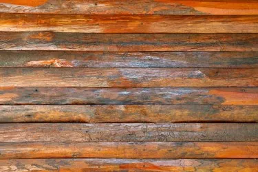 WOODEN WALL | Carta da parati legno - Cod. 842