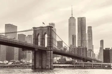 BROOKLYN BRIDGE | Carta da parati - Colore 265