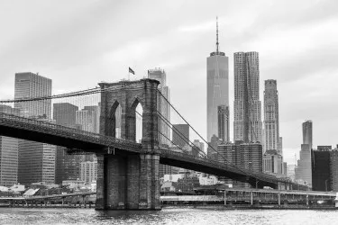 BROOKLYN BRIDGE | Carta da parati - Colore 264