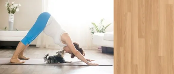 PAVINIL ACTIVITY GF5 Dog - Per spazi interni allenamento cani