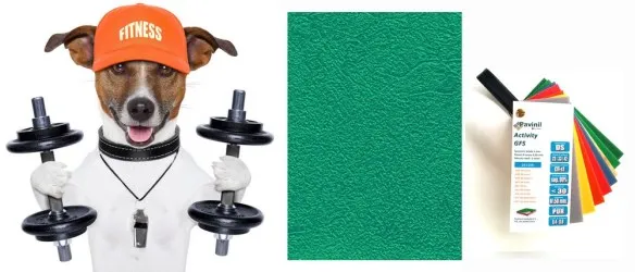 PAVINIL ACTIVITY GF5 Dog - Per spazi interni allenamento cani