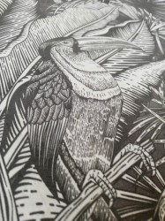 Carta da parati esotica - Amazzonia Black  [particolare tucano]