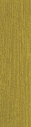 MOQUETTE LISTONE JUNGLE | Colore 220