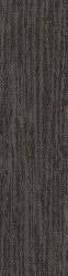 MOQUETTE LISTONE JUNGLE | Colore 790