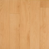 Pavinil Activity GF5 | Pavimento Sportivo in pvc - Colore legno chiaro