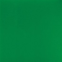 Pavinil Activity GF5 | Pavimento Sportivo in pvc - Colore verde