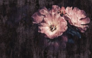 FLOWER - MILADY  | Carta da parati con grandi fiori - Colore 2