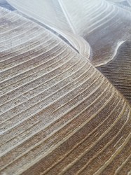 LYM Foglie di banano | Particolare della lavorazione materica