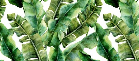 VERDE ESOTICO | Carta da parati foglie di banano