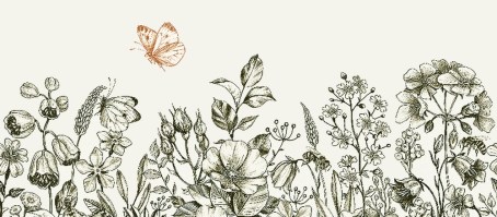 FARFALLA 3 | Carta da parati con farfalla