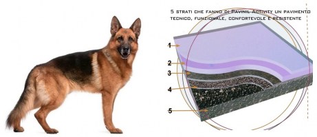 PAVINIL ACTIVITY GF5 Dog - Per spazi interni allenamento cani